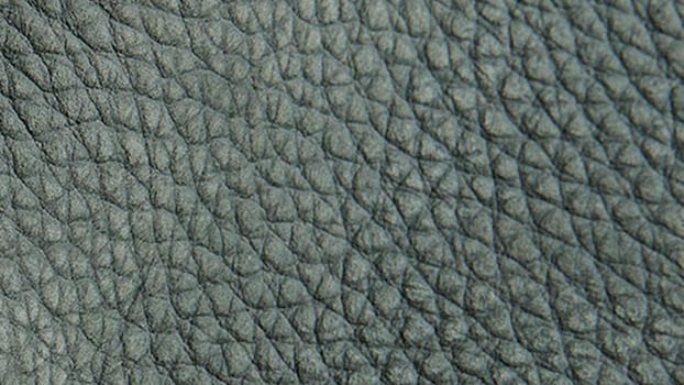 26 - eucalyptus 26 - eucalyptus