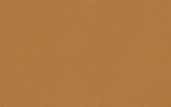 Toscana 04 Toscana 04