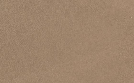 Toscana 10 Toscana 10