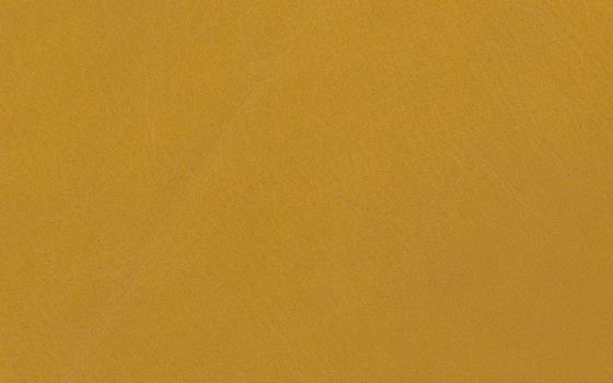 Toscana 21 Toscana 21