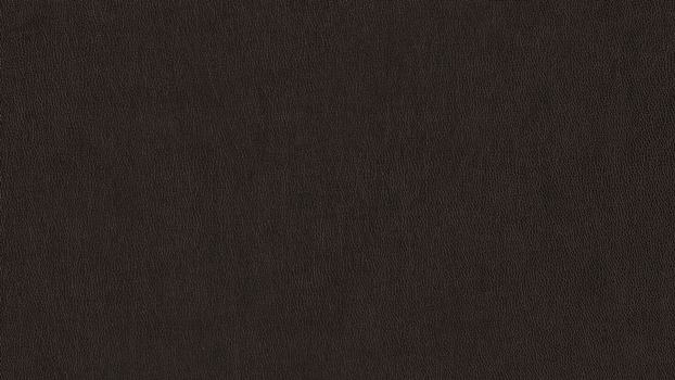 54 - dark brown 54 - dark brown