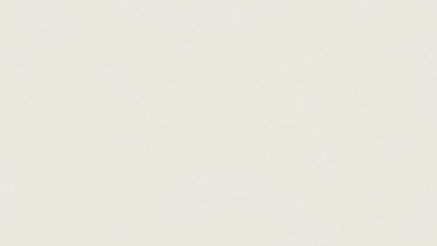 42 - white 42 - white