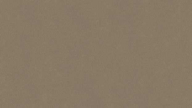 21 - stone 21 - stone