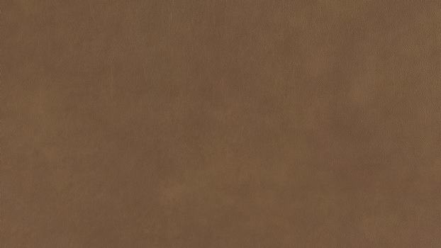 21 - fango 21 - fango