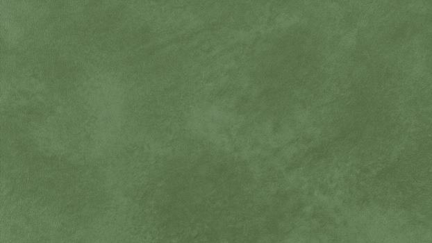 33 - green 33 - green