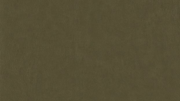 36 - camouflage 36 - camouflage