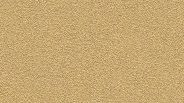 48 - biskuit 48 - biskuit