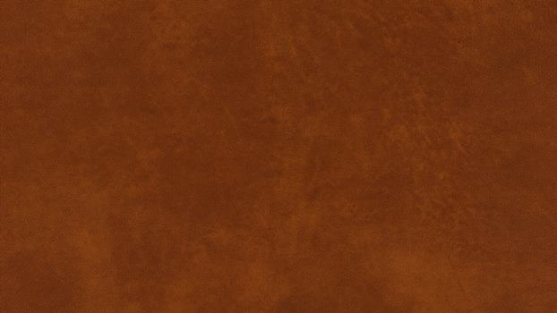 50 - cognac 50 - cognac