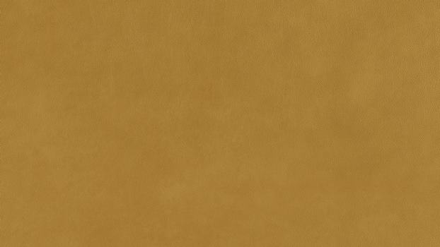 52 - kurkuma 52 - kurkuma