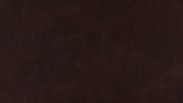 54 - mocca 54 - mocca