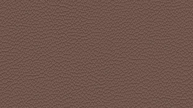 13 - blush 13 - blush