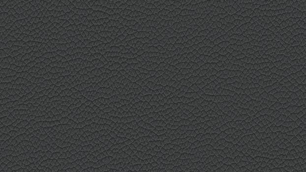 39 - forest 39 - forest