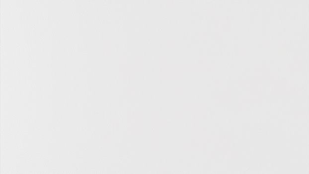 42 - weiss 42 - weiss