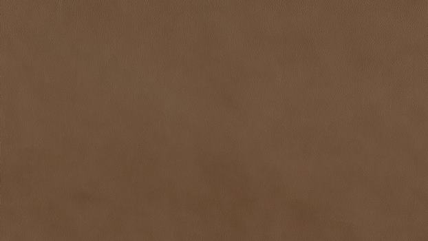 50 - terra 50 - terra