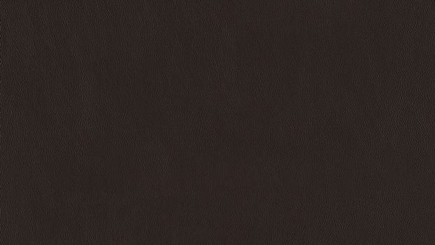 54 - mocca 54 - mocca