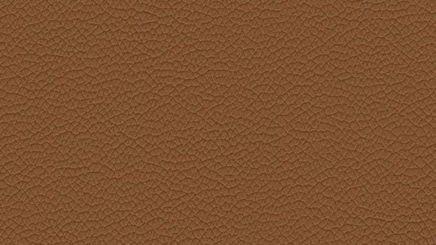 55 - cognac 55 - cognac