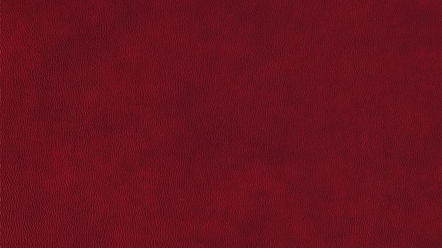 12 - merlot 12 - merlot