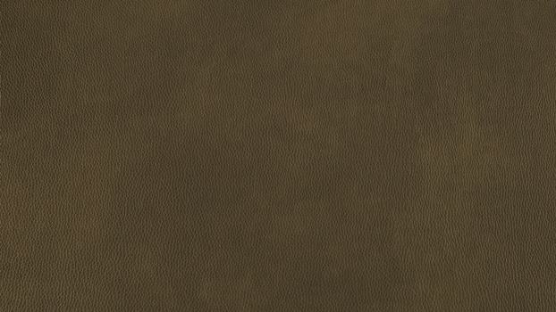 36 - camouflage 36 - camouflage