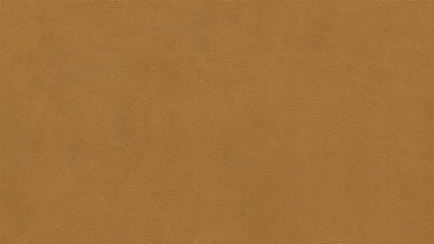 52 - kurkuma 52 - kurkuma