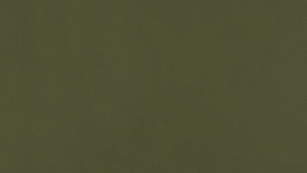 35 - olive 35 - olive