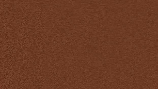 52 - chesnut 52 - chesnut