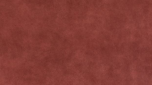 15 - blush 15 - blush