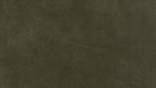 36 - olive 36 - olive