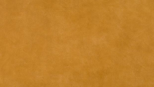 52 - kurkuma 52 - kurkuma