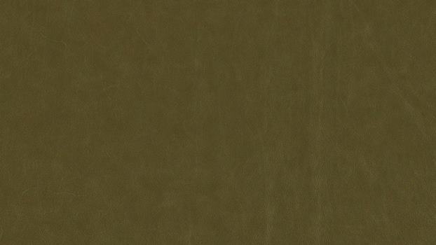 36 - camouflage 36 - camouflage