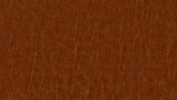 50 - cognac 50 - cognac