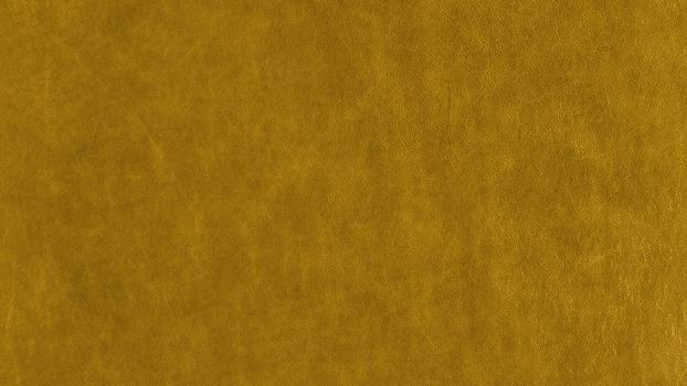 52 - kurkuma 52 - kurkuma