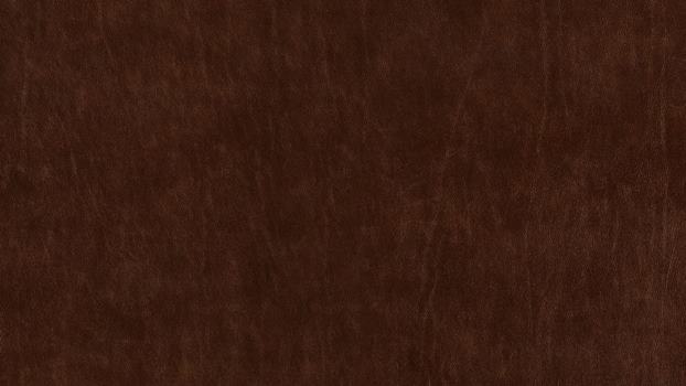 54 - chocolate 54 - chocolate