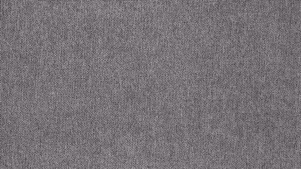 22 - dolphin 22 - dolphin