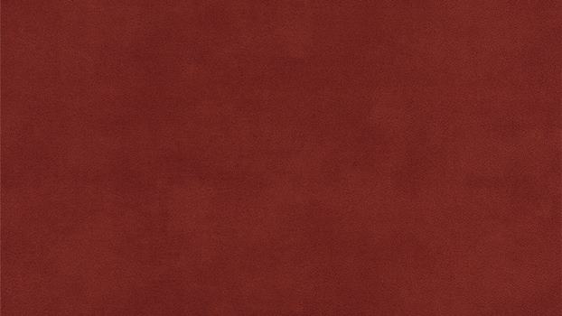 13 - marsala 13 - marsala