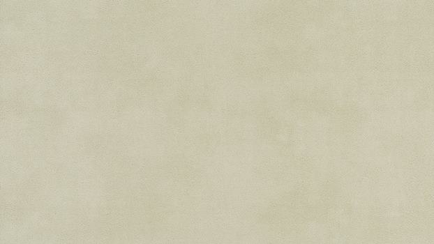 43 - sahara 43 - sahara