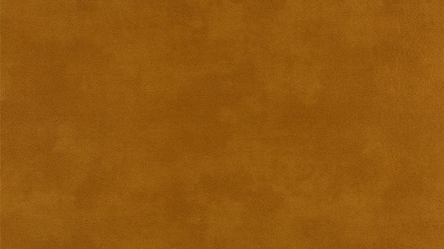 51 - brandy 51 - brandy