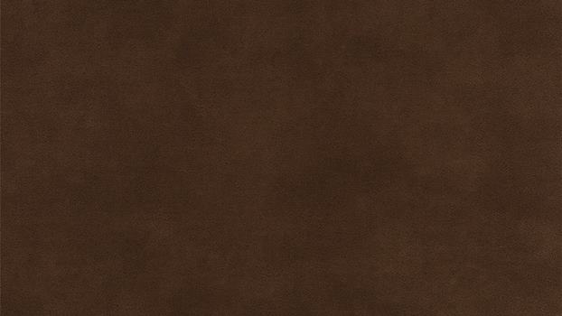 54 - chocolate 54 - chocolate