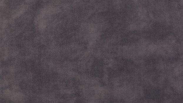 22 - dolphin 22 - dolphin