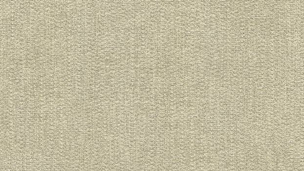 43 - cream 43 - cream