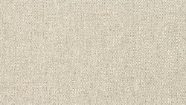 43 - cream 43 - cream