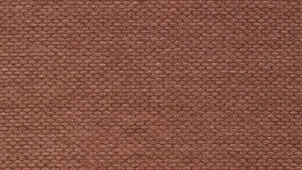 50 - chesnut 50 - chesnut