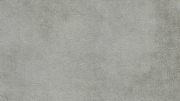 21 - light grey 21 - light grey