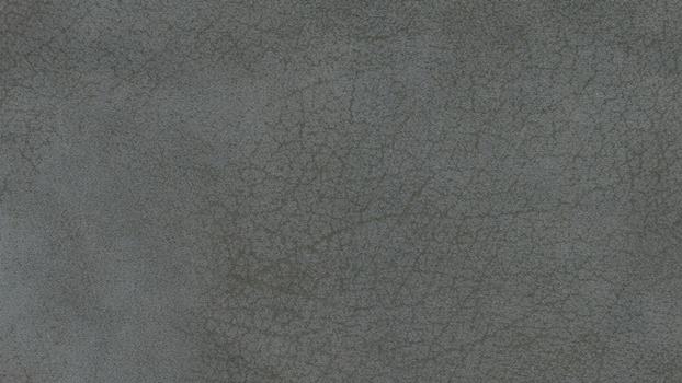 23 - elephant 23 - elephant