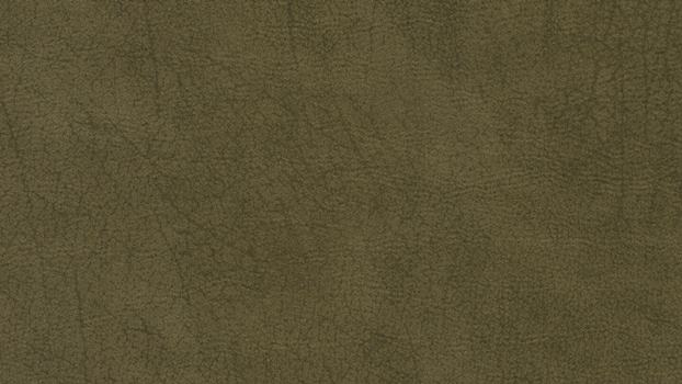 36 - olive 36 - olive