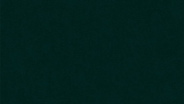 38 - pacific 38 - pacific