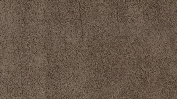 53 - light brown 53 - light brown