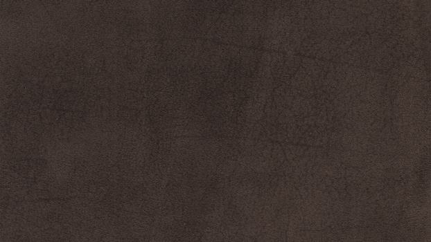 55 - espresso 55 - espresso