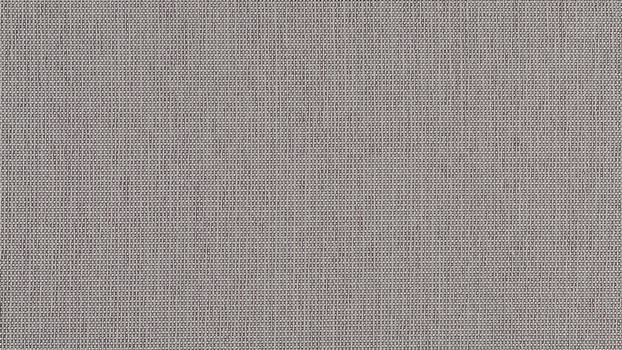 21 - silver 21 - silver