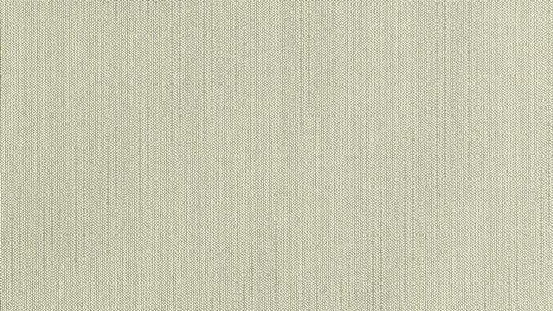 43 - elfenbein 43 - elfenbein