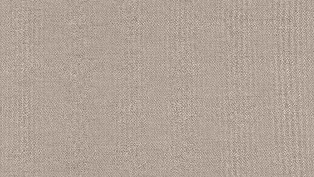 43 - cream 43 - cream